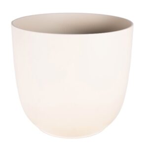 VASO