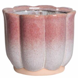 VASO