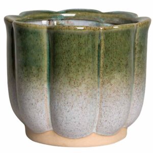 VASO