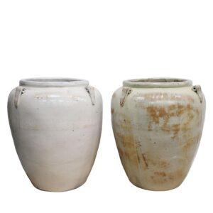 VASO