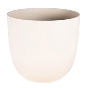 VASO