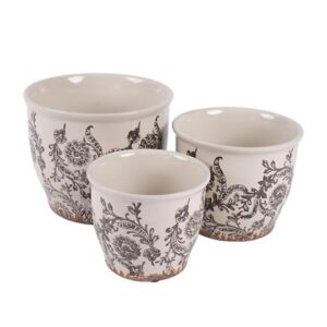 VASO