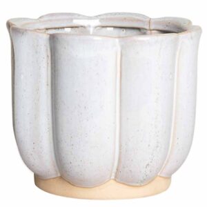 VASO
