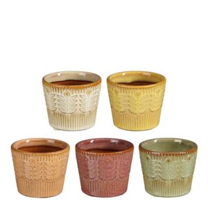 VASO TONDO 5ASS