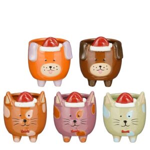 VASO CANE/GATTO 5ASS