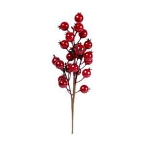 RAMO BACCHE ROSSE