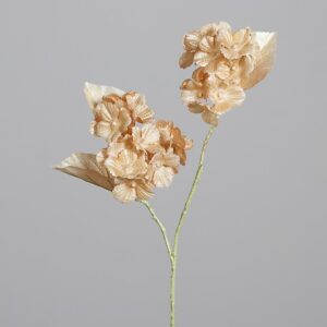 HYDRANGEA