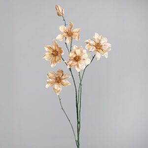 MAGNOLIA