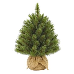 ALBERO 61RAMI