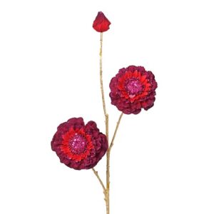 ZINNIA