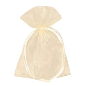 BUSTA ORGANZA