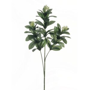 ALLORO