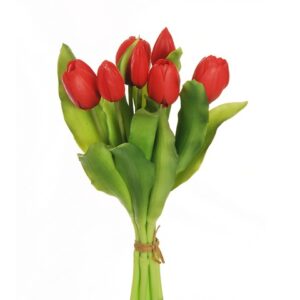 TULIPANI