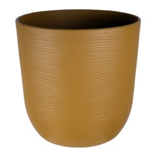 VASO
