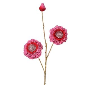 ZINNIA