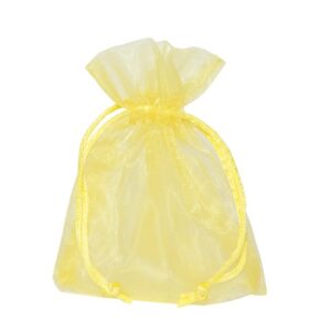 BUSTA ORGANZA