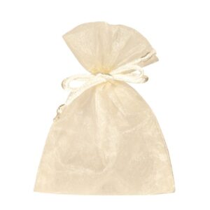 BUSTA ORGANZA