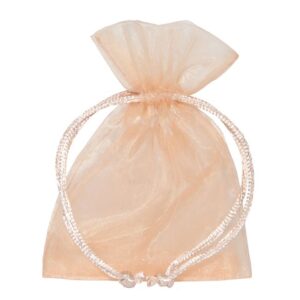 BUSTA ORGANZA