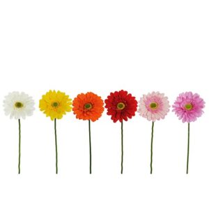 GERBERA