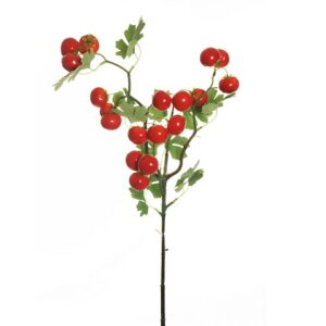 RAMO POMODORI