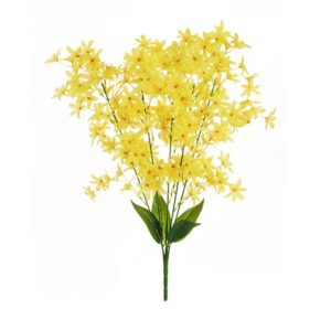 DEUTZIA