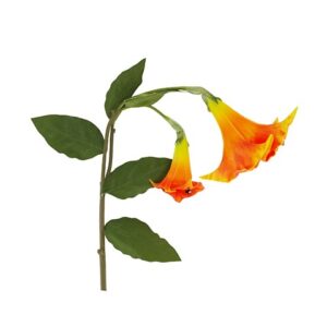 DATURA