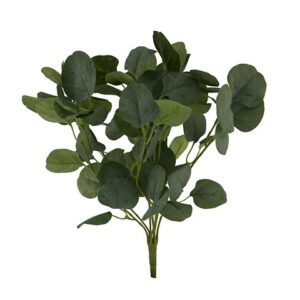 EUCALYPTUS