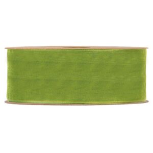 NASTRO ORGANZA