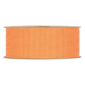 NASTRO ORGANZA