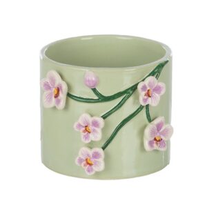 CASPO' ORCHIDEA