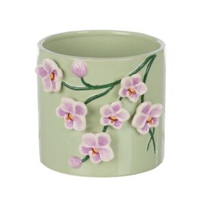 CASPO' ORCHIDEA