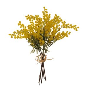 MIMOSA