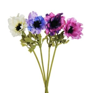 ANEMONE