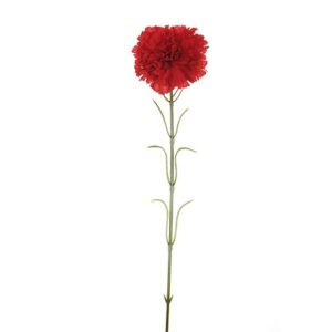 GAROFANO