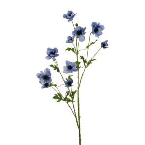 ANEMONE