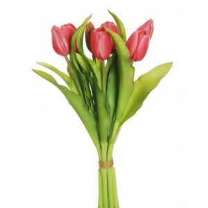 TULIPANI