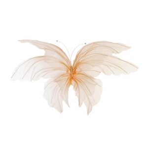 FARFALLA