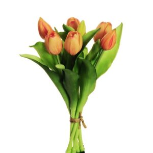 TULIPANI