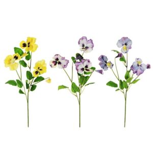 VIOLA DEL PENSIERO