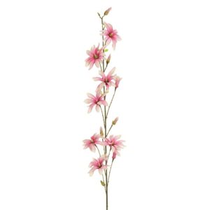 MAGNOLIA