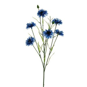 FIORDALISO