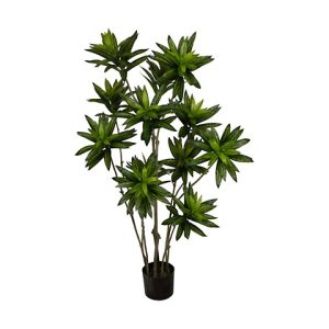 BAMBOO PIANTA