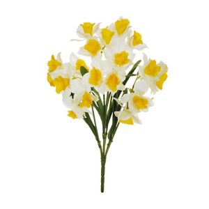 NARCISI