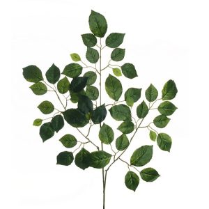 QUERCIA