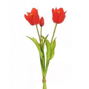TULIPANI