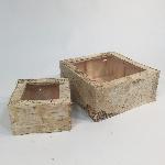 CASSETTA QUADRA CORTECCIA
