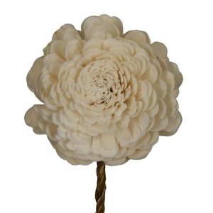 FIORE