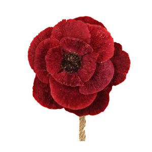 FIORE