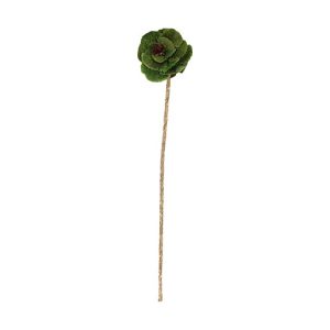 FIORE