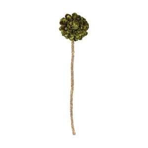 FIORE